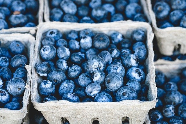 Healthy Blueberries