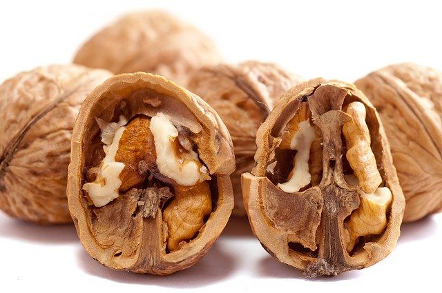Walnuts look like the human brain