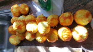 shredded orange peel