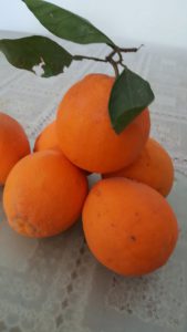 main ingredient organic oranges