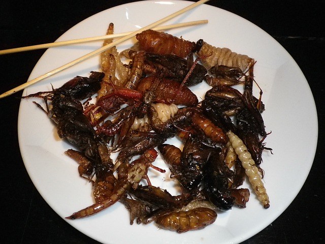 A Thai dish of fried insects