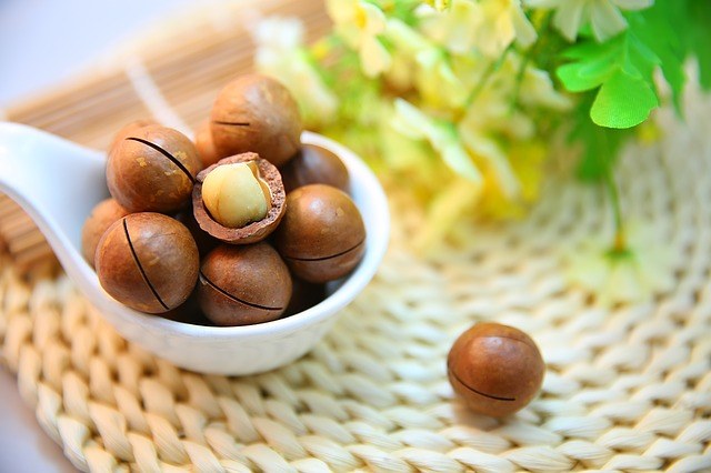 Macadamia nuts coated in chocolate
