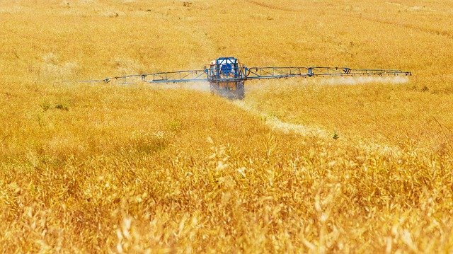 The spraying of the crop