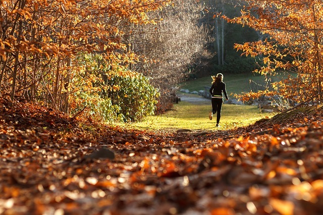 Girl jogging in the forest