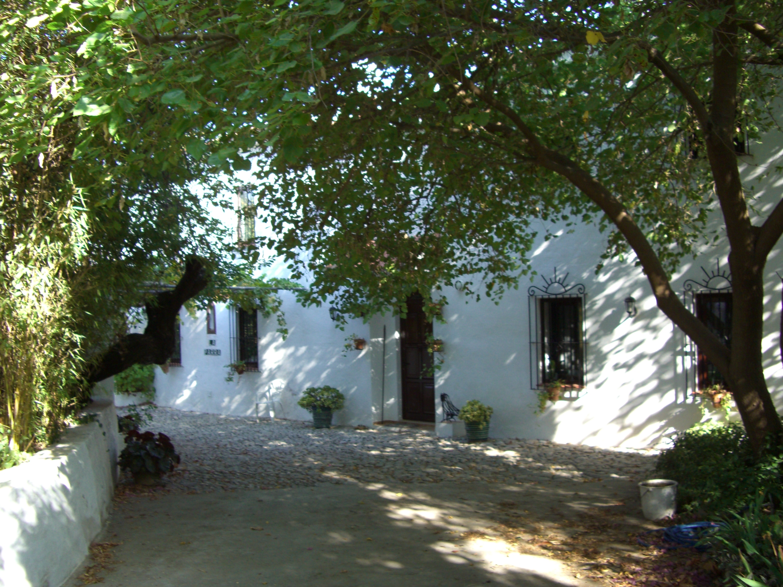 Main entrance to my farm on the south side